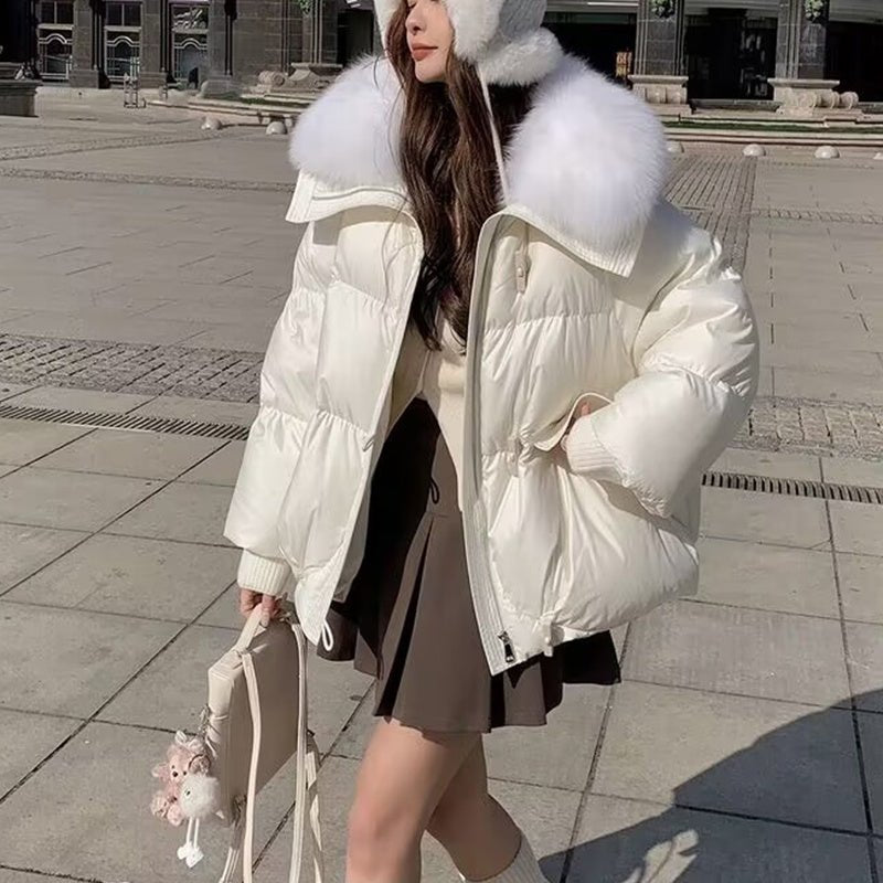 Down Cotton - padded Jacket Women's Short Fur Collar Thickened Coat Winter Clothing - Belisimo