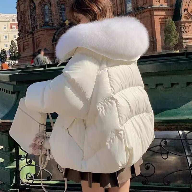 Down Cotton - padded Jacket Women's Short Fur Collar Thickened Coat Winter Clothing - Belisimo