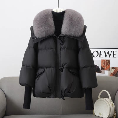 Down Cotton - padded Jacket Women's Short Fur Collar Thickened Coat Winter Clothing - Belisimo